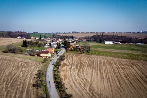 Začala obnova stromů lemující cestu ze Slatiny na Nový Svět, vyrostou tam nové švestky
