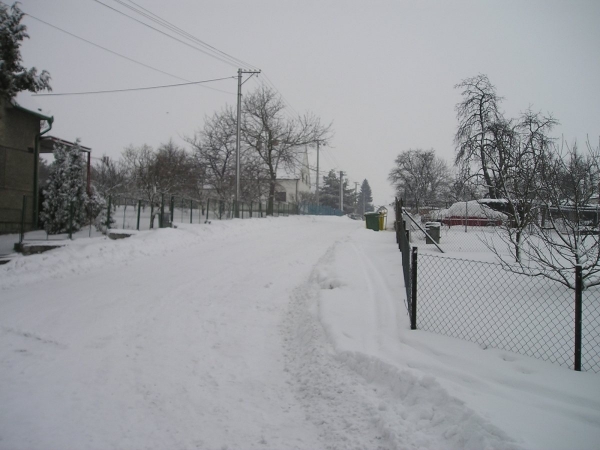 2005