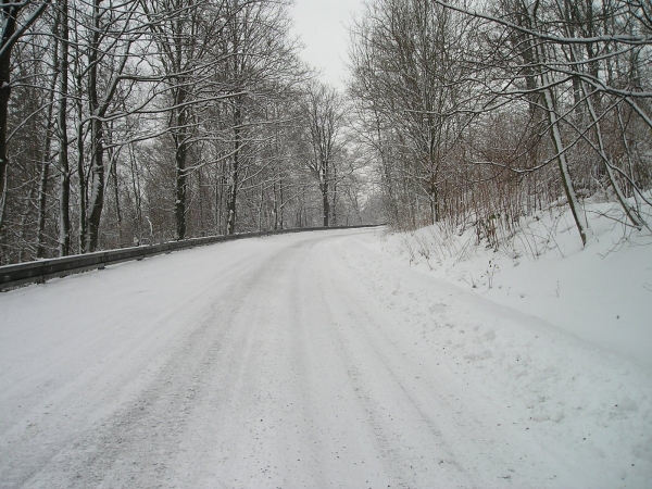 2005