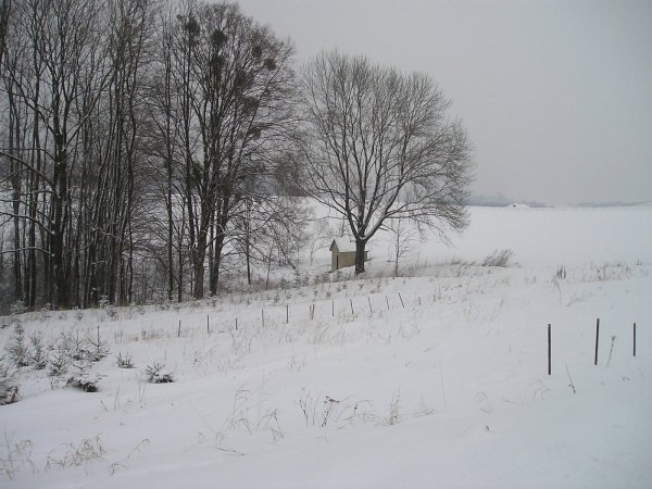 2005