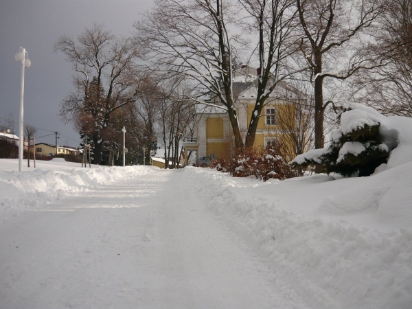 2009