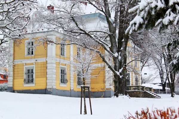 2011