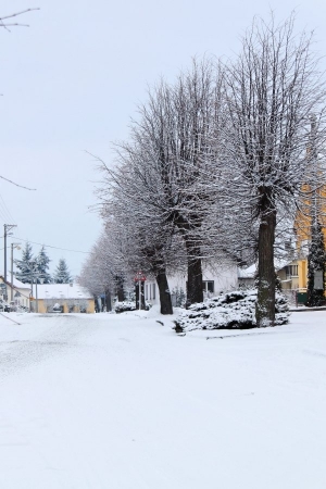 2011